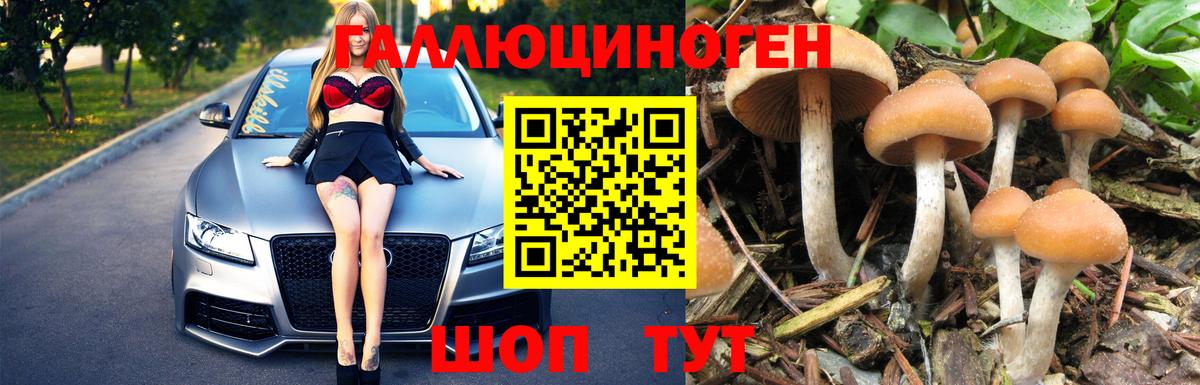 Галлюциногенные грибы MAGIC MUSHROOMS Старая Купавна